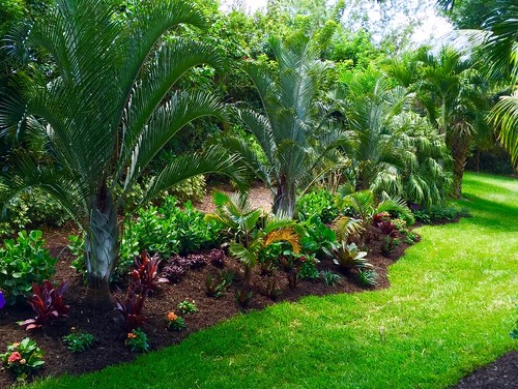tropical front and backyard landscapes palms and color construction landscape llc img 78b126eb05e746b3 8 2611 1 5ee38b3 - 152 Easy and Effective Front Yard Landscaping Ideas & Pictures - HandyMan.Guide - Front Yard Landscaping Ideas