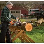 Oregon CS1500 18-inch 15 Amp, Self-Sharpening Corded Electric Chainsaw