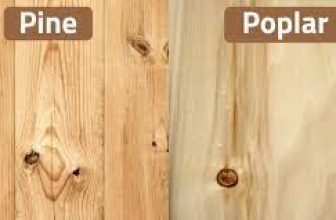 Poplar vs Pine: Which is better for your project?