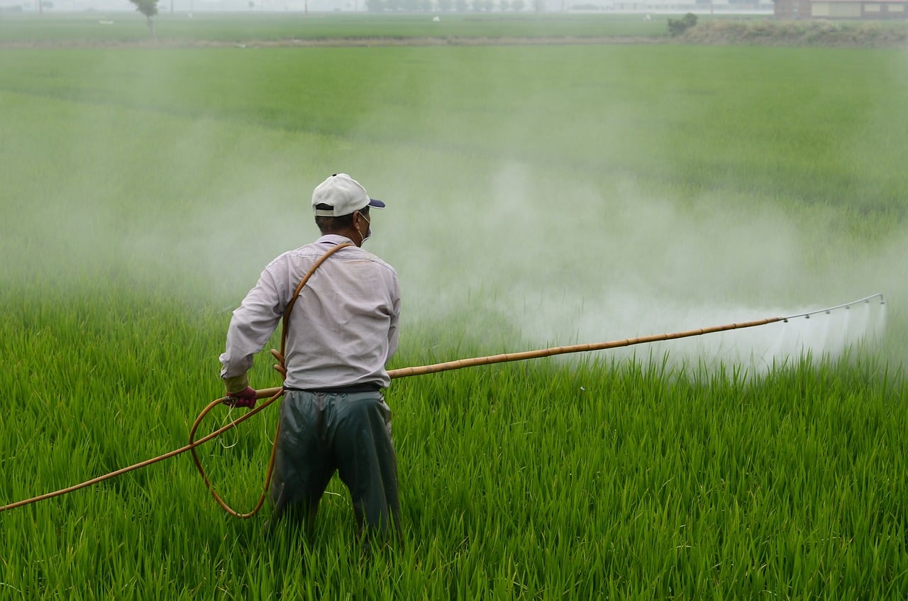 587589 - The Best Pre-Emergent Herbicides of 2022 - HandyMan.Guide - pre-emergent herbicide