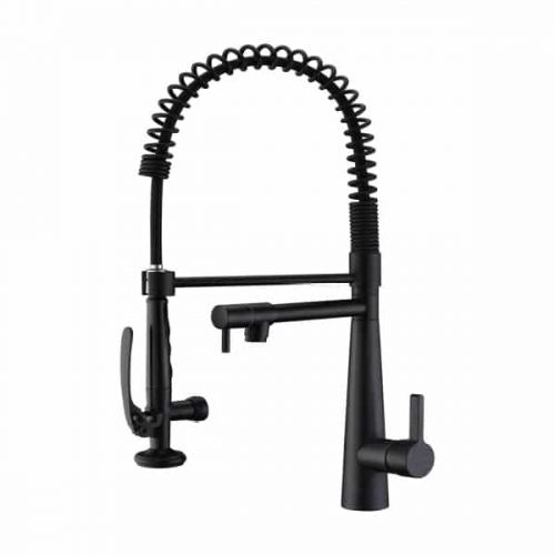 Gicasa Pull-Down Kitchen Faucet