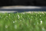 Types of Synthetic Grass Recommended For Purchase